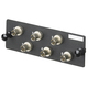 Panduit FAP6WSTZ